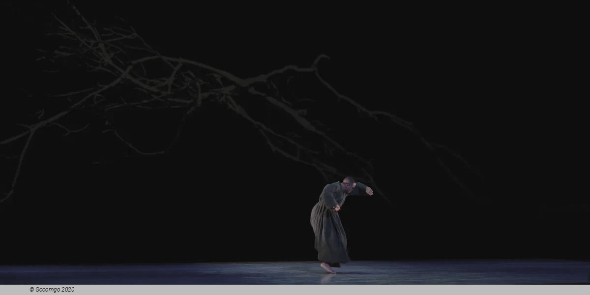 Song of the Anchorite, photo 6