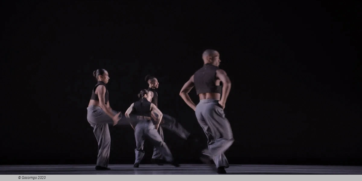 Down the Rabbit Hole, photo 7