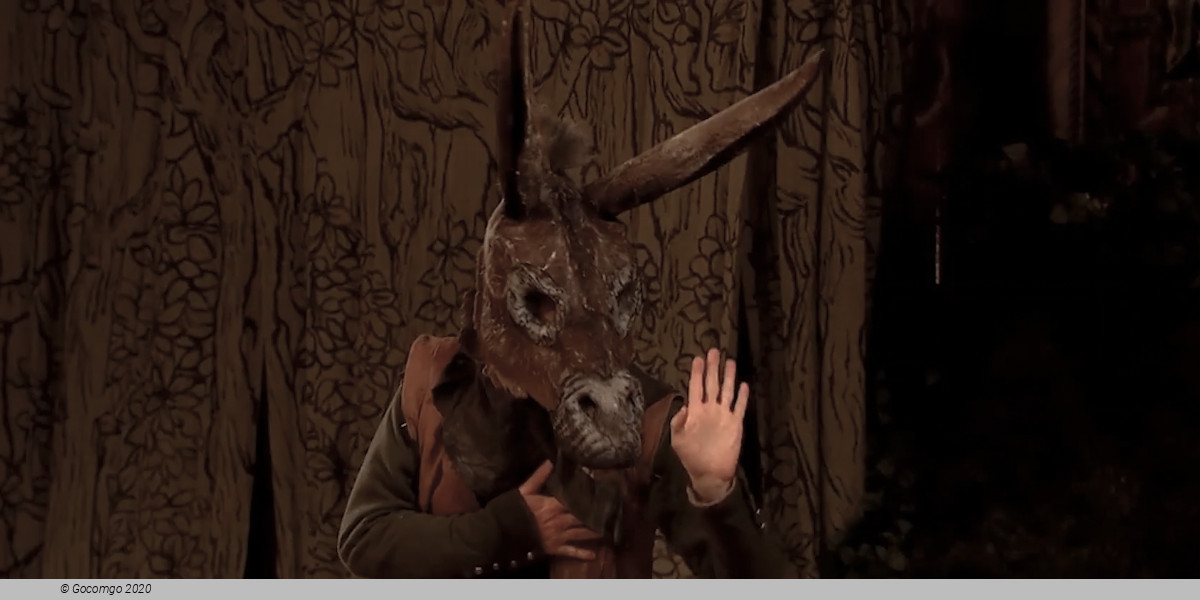 A Midsummer Night’s Dream