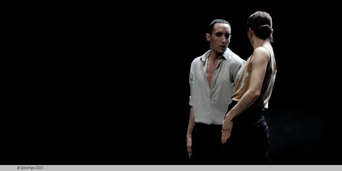 Der Liebhaber by Marco Goecke, photo 4