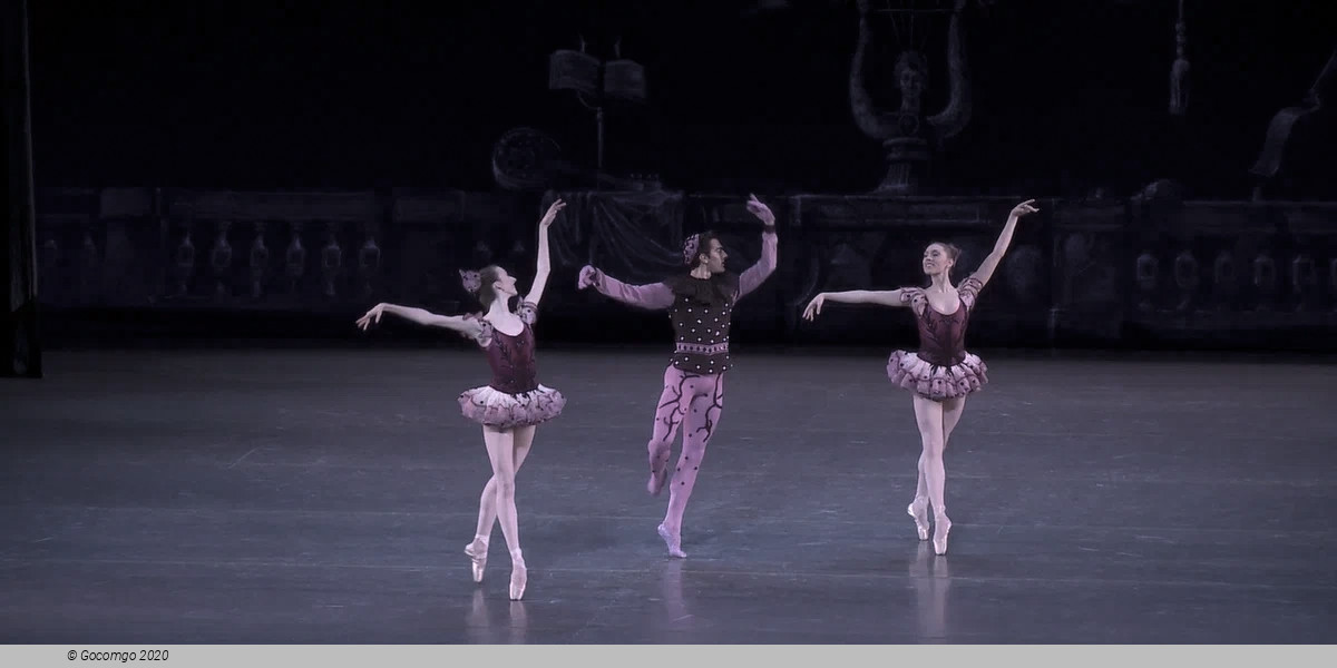 Symphonie Concertante, photo 4