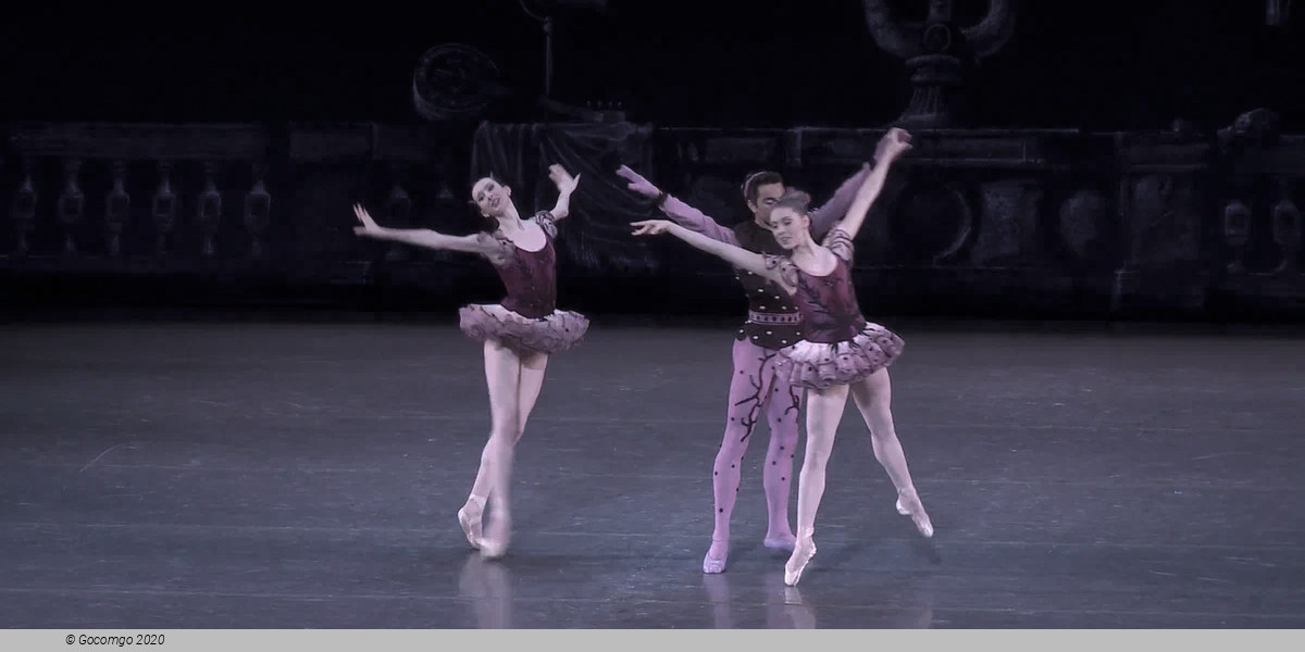Symphonie Concertante, photo 5