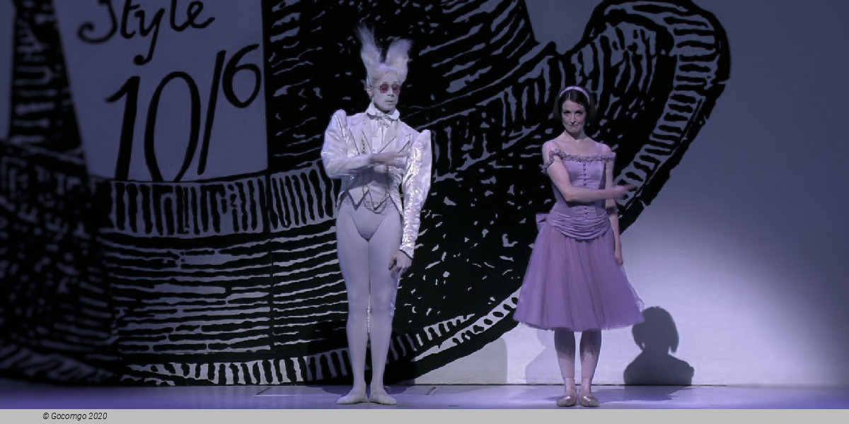 Where's Alice?, photo 3
