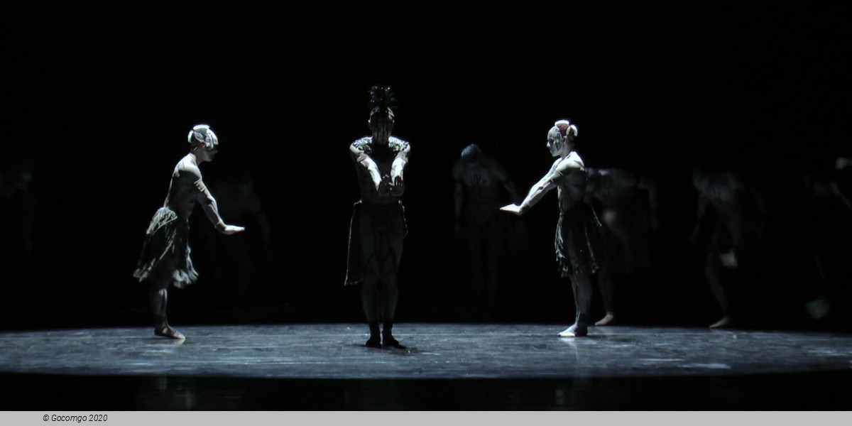 The Rite of Spring, photo 2