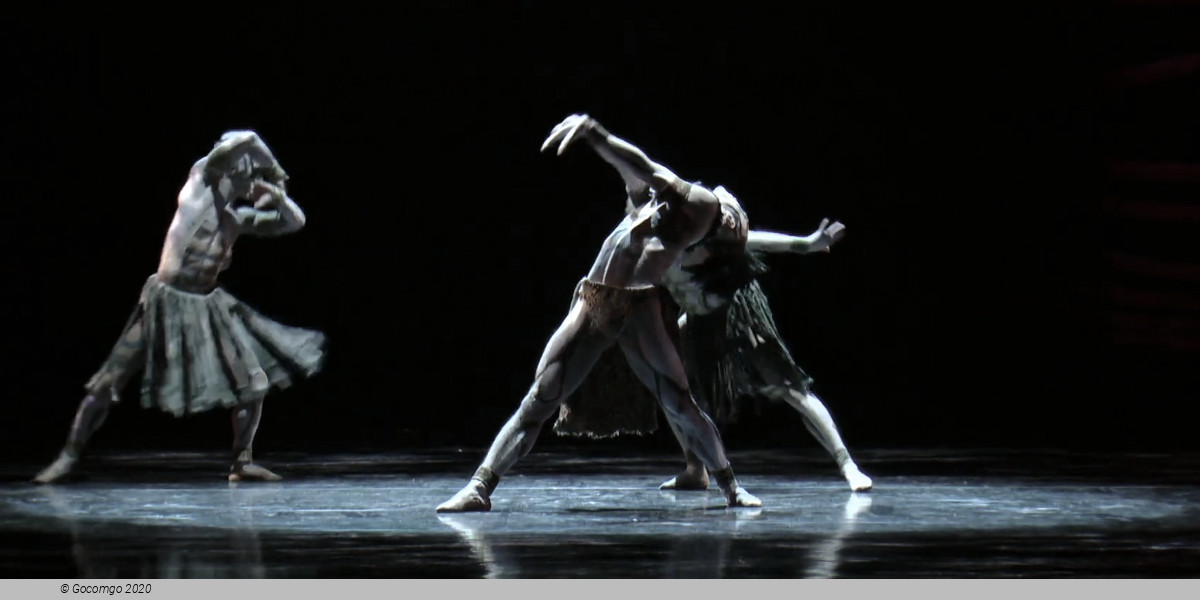 The Rite of Spring, photo 4