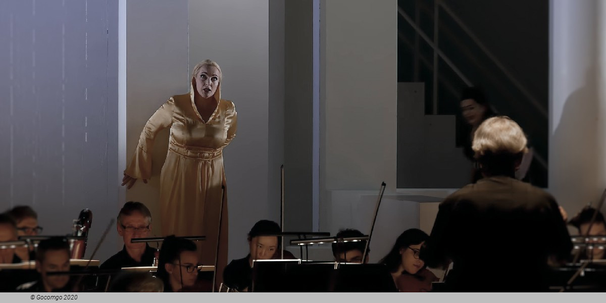 Elektra, photo 3