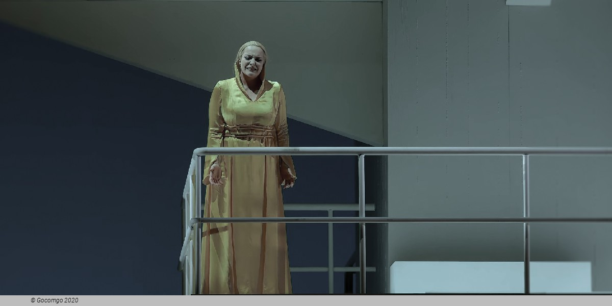 Elektra, photo 6