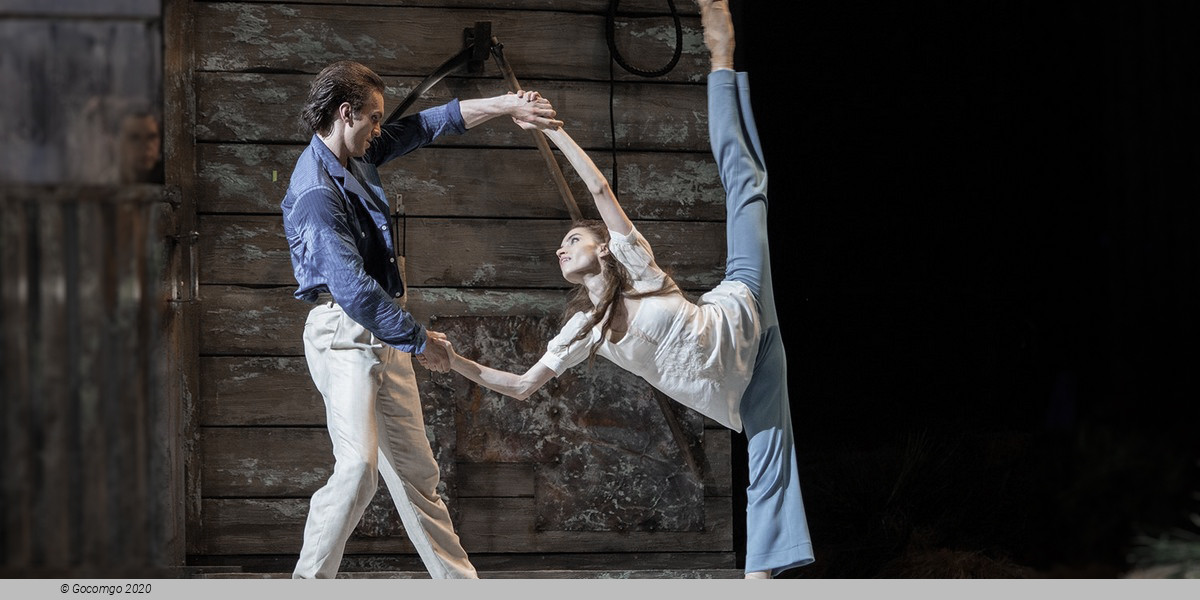 Scene 3 from the ballet "The Seagull", photo 1