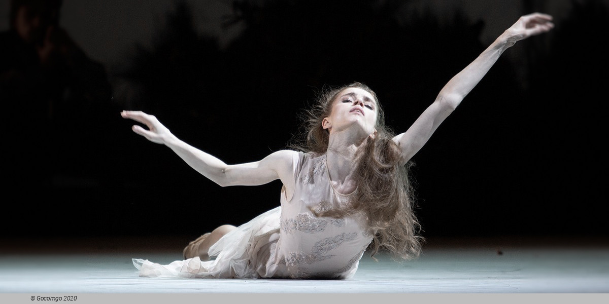 Scene 4 from the ballet "The Seagull", photo 4