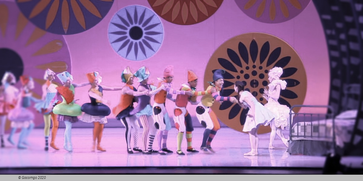 The Wizard of Oz (ballet), photo 6
