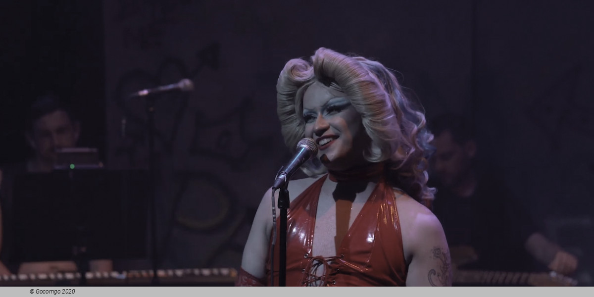 Hedwig and the Angry Inch, photo 6