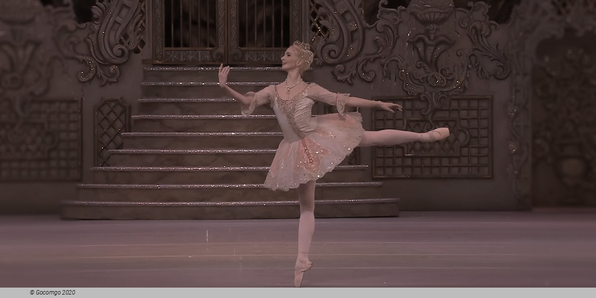 The Nutcracker (main), photo 9