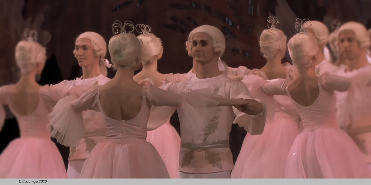 The Nutcracker (main), photo 16
