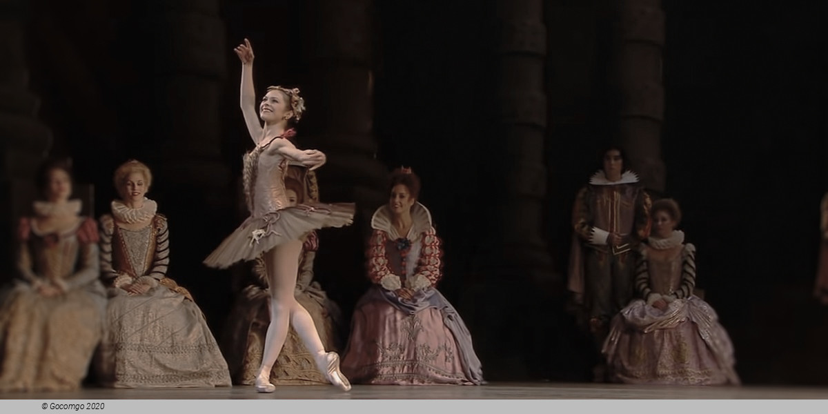 Scene 6 from the ballet "The Sleeping Beauty", photo 9