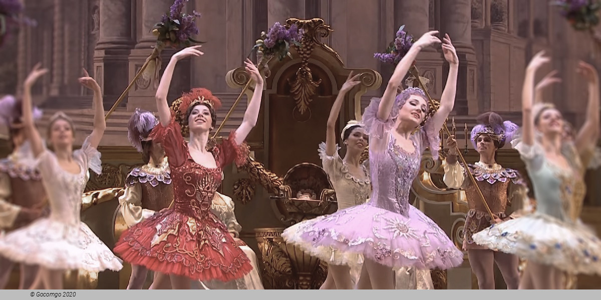 Scene 5 from the ballet "The Sleeping Beauty", photo 12