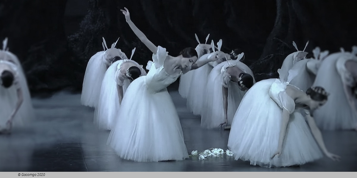 Giselle, photo 13