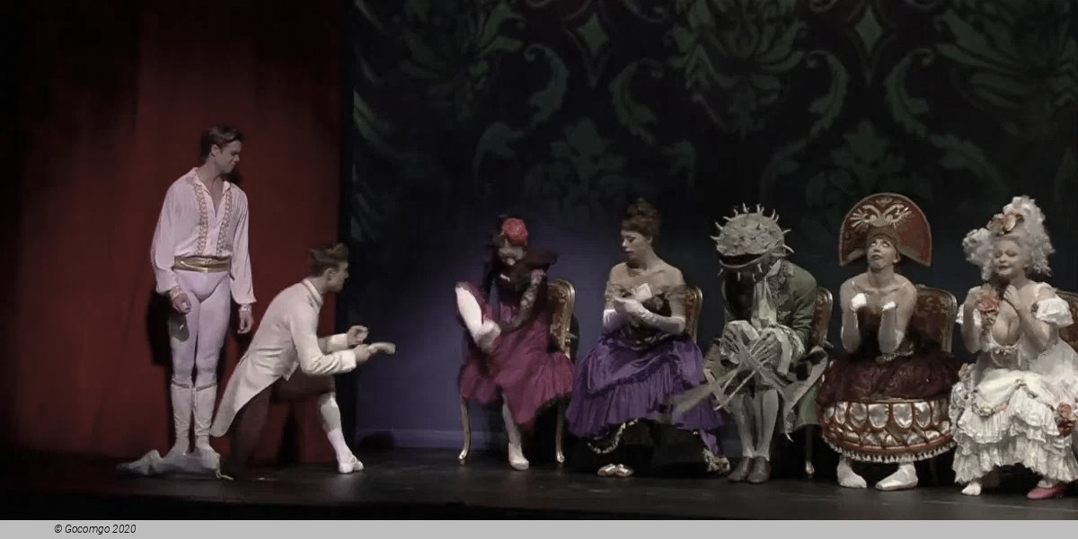 Cinderella, photo 7