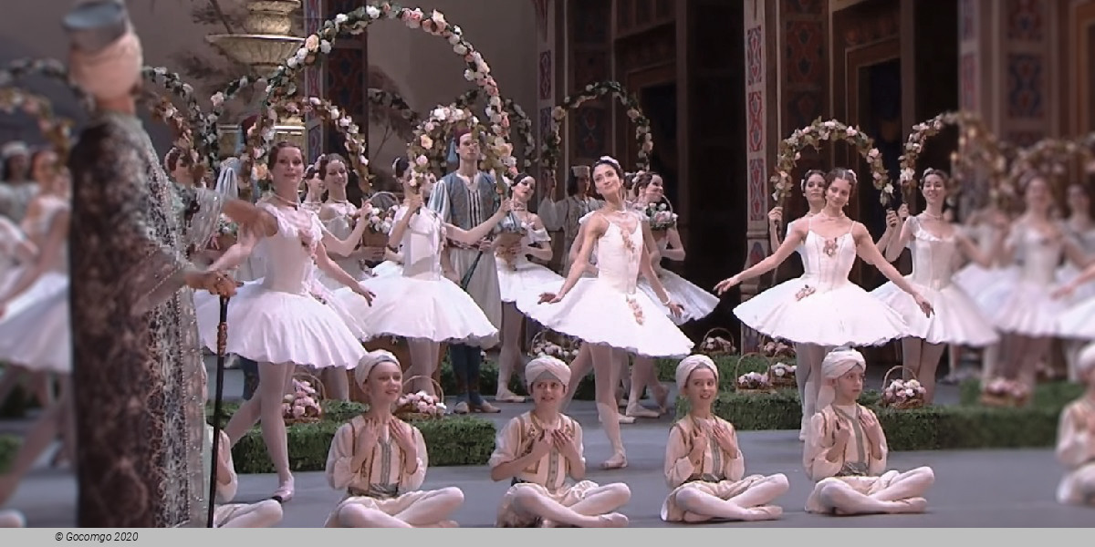 Scene 6 from the ballet "Le Corsaire", photo 28