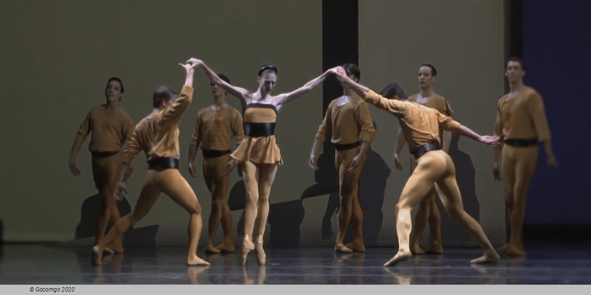 Jeu de cartes, photo 4