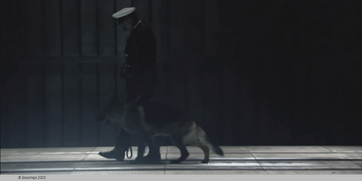 Scene 4 from the opera "Lady Macbeth of Mtsensk", photo 5