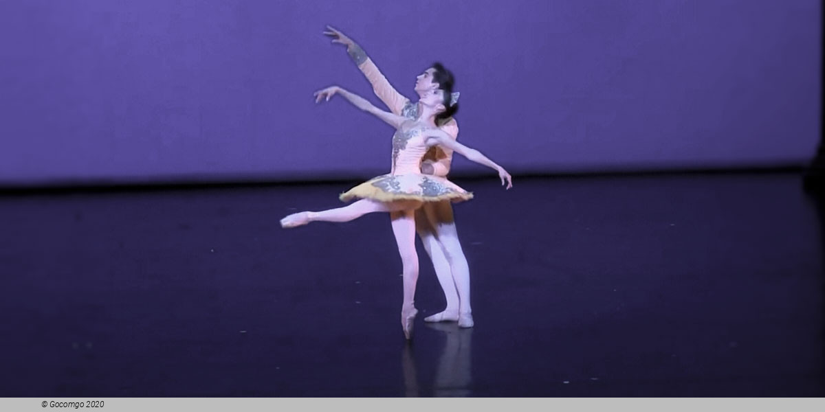 Theme and Variations, photo 4