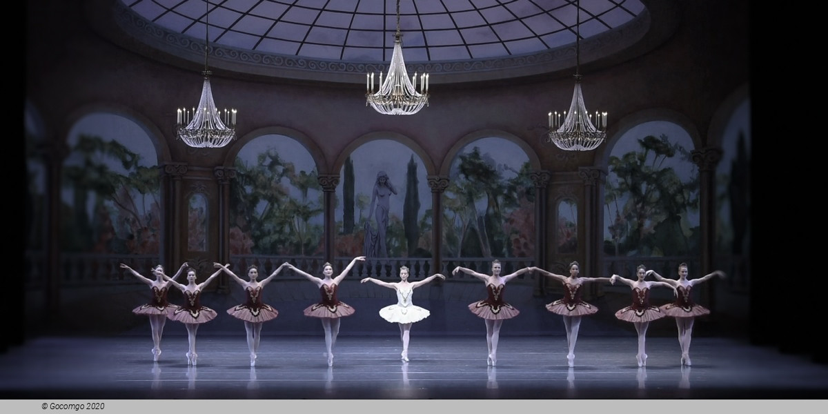 Theme and Variations, photo 2