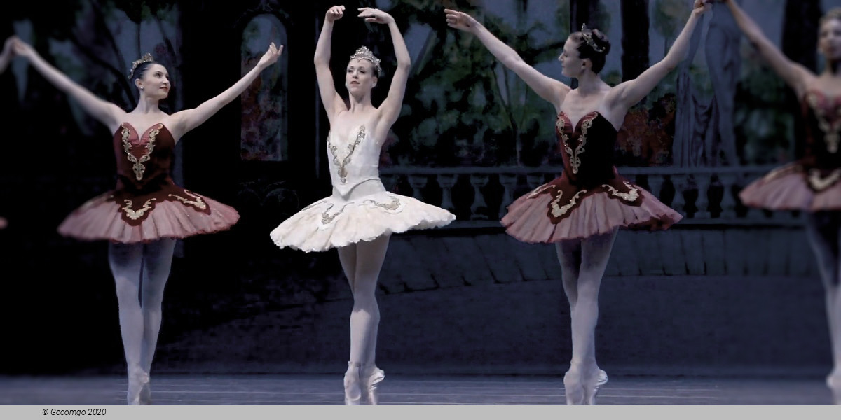 Theme and Variations, photo 6