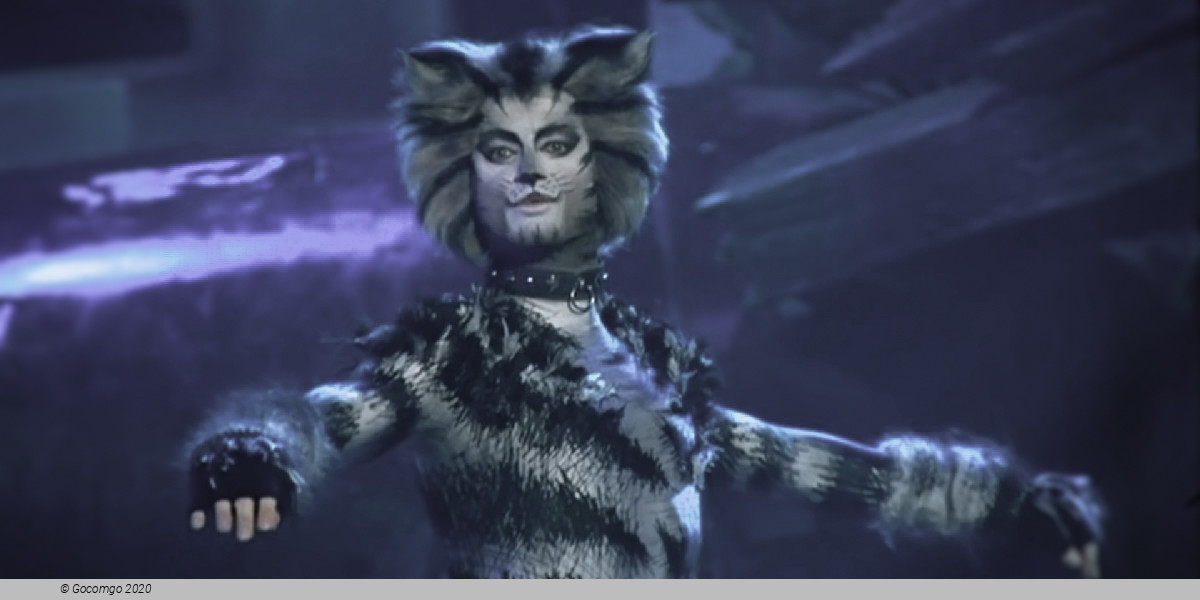 Scene 1 from the musical "Cats"
