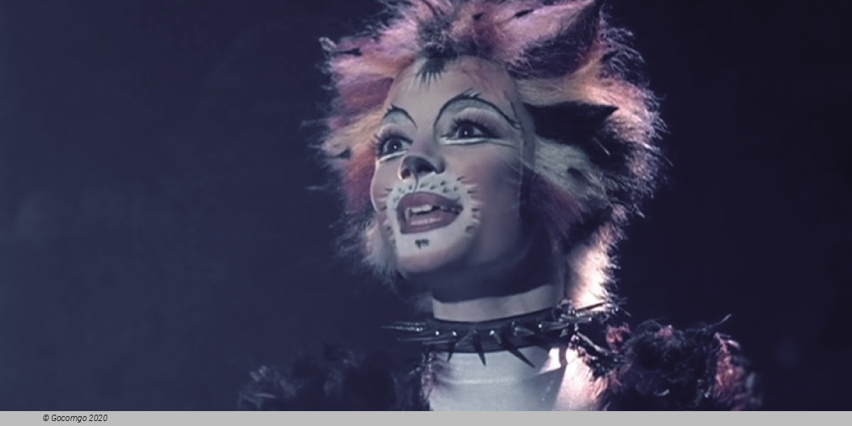 Scene 6 from the musical "Cats"