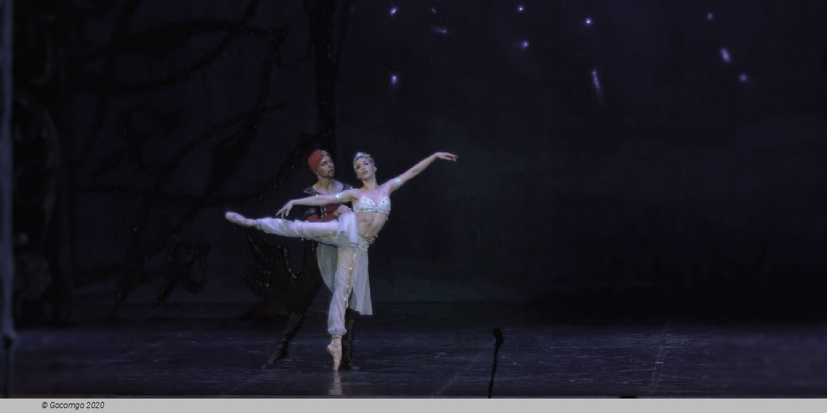Scene 5 from the ballet "One Thousand and One Nights", photo 6